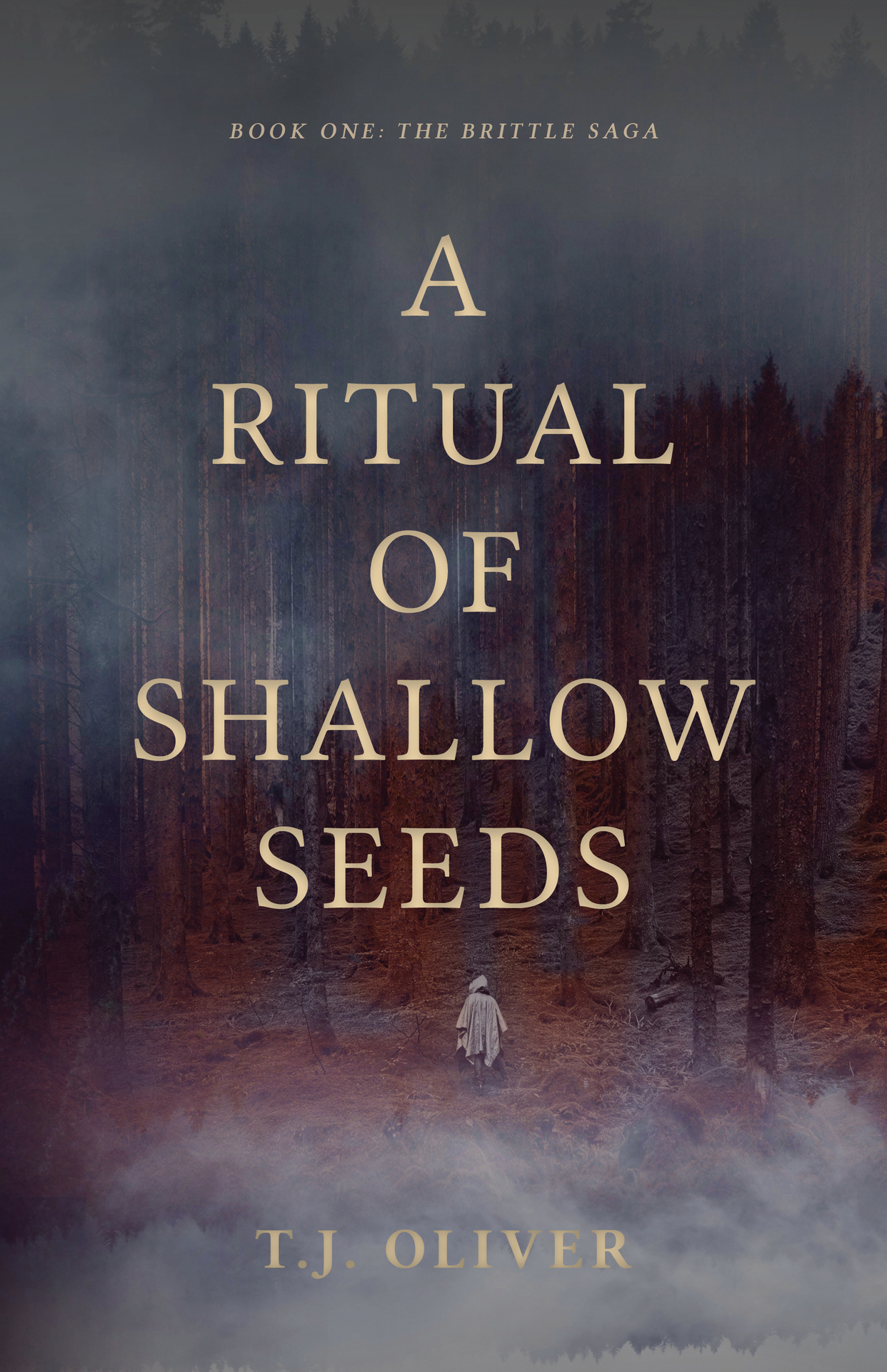 A Ritual of Shallow Seeds